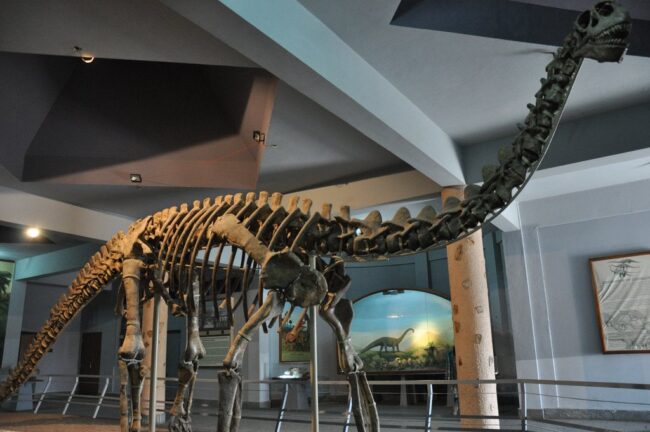 Birla Science Museum Dinosaur